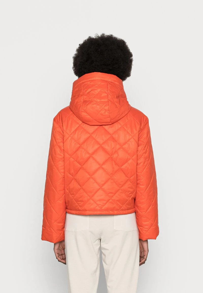 Übergangsjacke - bloody orange Marc O'Polo Damen Übergangsjacke - Bloody Orange -Marc O'Polo Verkäufe c01b774679cf4860b9401353957cdbf1